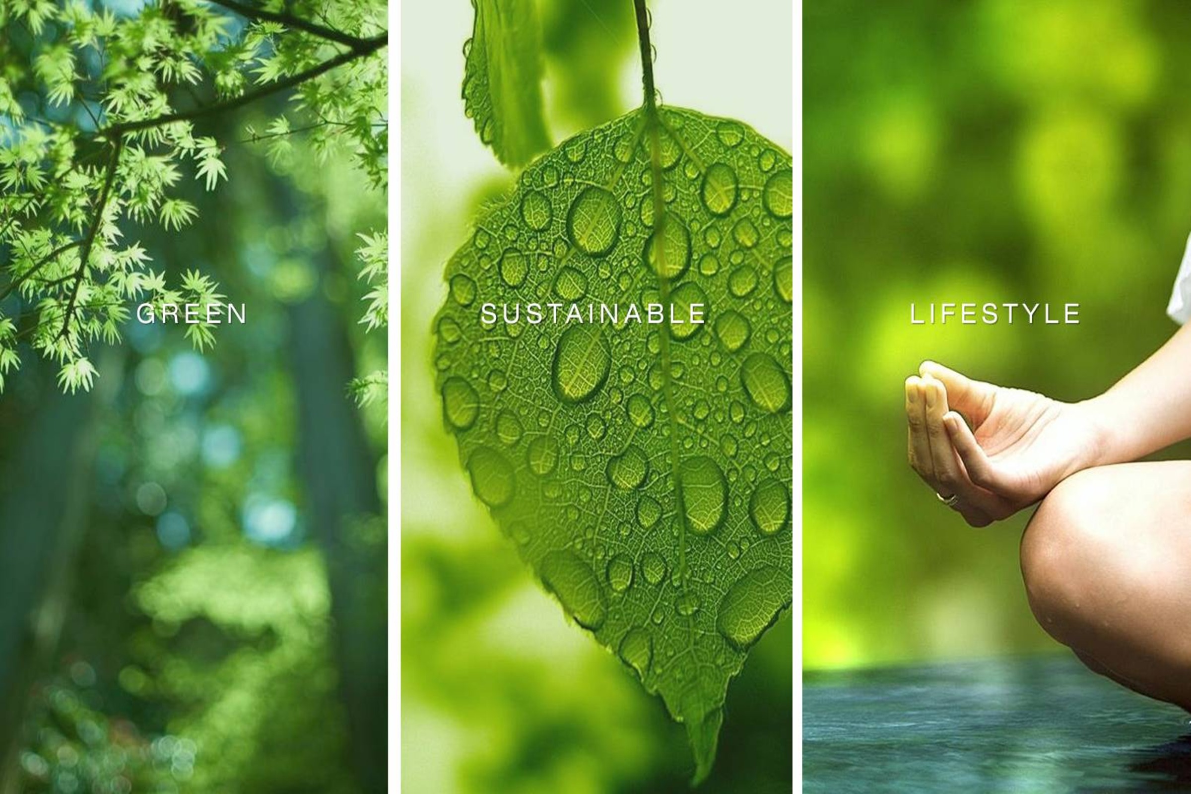 Sustainability & Green Living